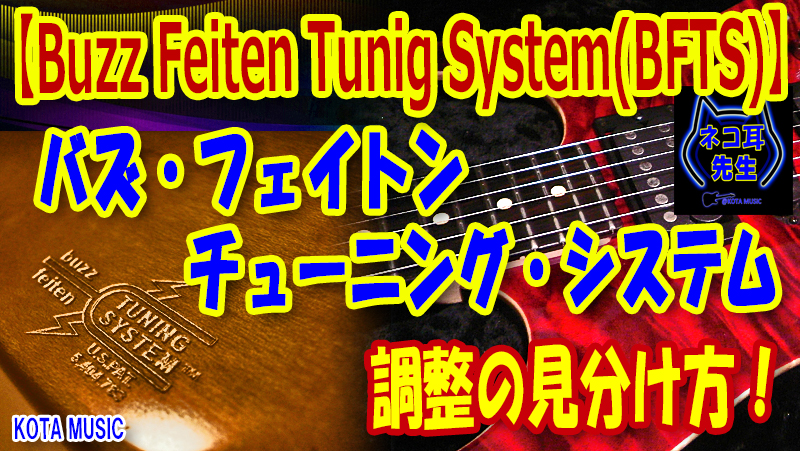 バズ・フェイトンのヒ・ミ・ツを教えちゃいます♡Buzz Feiten Tunig