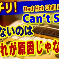 ギター,ギター教室,神戸,初心者,KOTAMUSIC,tab,レッスン,弾き方,解説,guitar,フレーズ,奏法,やり方,コツ,トレーニング,練習,ミュート,単音カッティング,レッチリ,RedHotChiliPeppers,cantstop